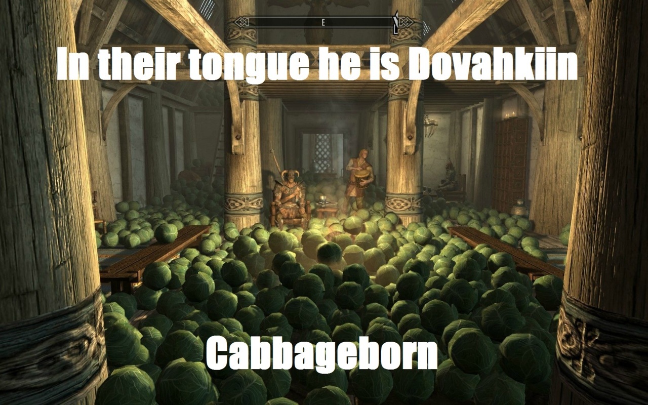 skyrim cabbage - In their tongue he is Dovahkiin Cabbageborn