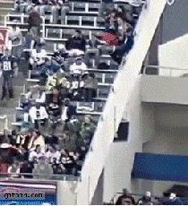 bills stadium guy falls from upper deck gif - rin1