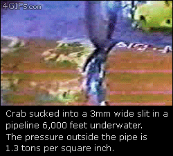 crab getting sucked into a pipe - 4 GIFs.com Crab sucked into a 3mm wide slit in a pipeline 6,000 feet underwater. The pressure outside the pipe is 1.3 tons per square inch.
