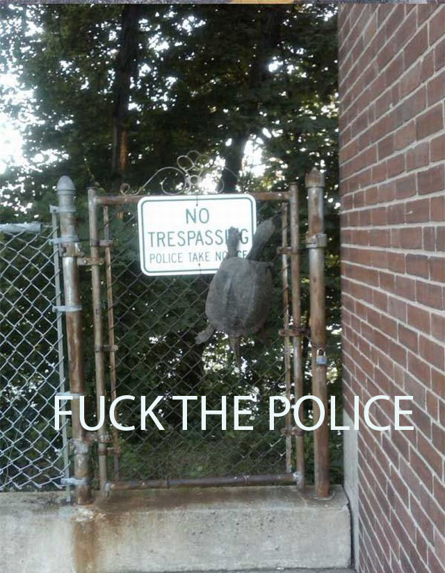 turtle climbing fence meme - No Trespassig Police Take No.Cf Fuckthe Police
