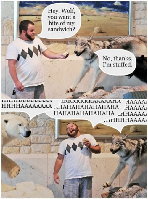 no thanks im stuffed - Hey, Wolf, you want a bite of my sandwich? No, thanks, I'm stuffed. n Kkkkkkkkaaaaaha Haaaa Hhhhaaaaaaaa Hahahahahahaha Haaaa. Hahahahahahaha Ahaaaa 1HHHHAAAA,