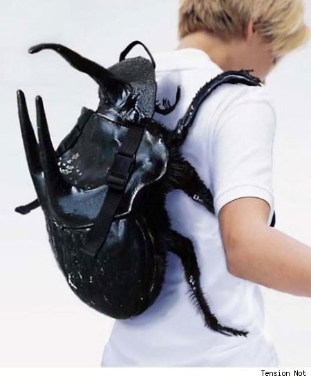 another bug backpack