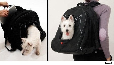 doggie hotel backpack