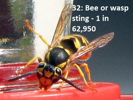 wasp - 32 Bee or wasp sting 1 in 62,950