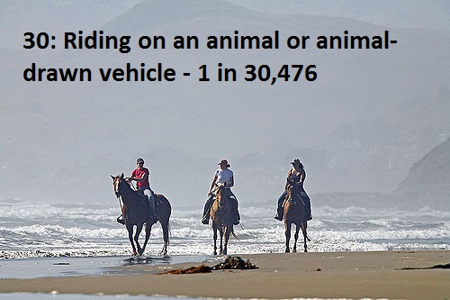anti hkt - 30 Riding on an animal or animal drawn vehicle 1 in 30,476
