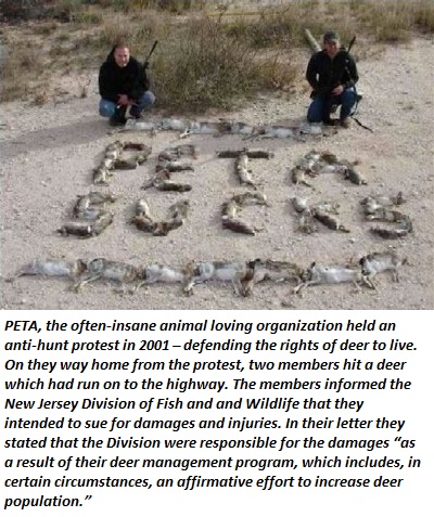 animals have the right to be tasty - Peta, the ofteninsane animal loving organization held an antihunt protest in 2001 defending the rights of deer to live. On they way home from the protest, two members hit a deer which had run on to the highway. The mem