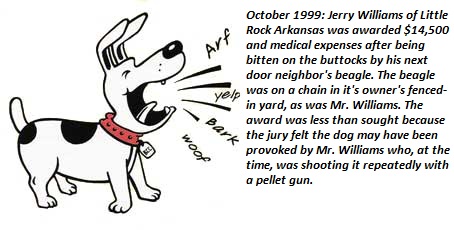 cartoon - Jerry Williams of Little Rock Arkansas was awarded $14,500 and medical expenses after being bitten on the buttocks by his next door neighbor's beagle. The beagle was on a chain in it's owner's fenced in yard, as was Mr. Williams. The award was l