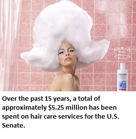 Over the past 15 years, a total of approximately $5.25 million has been spent on hair care services for the U.S. Senate.