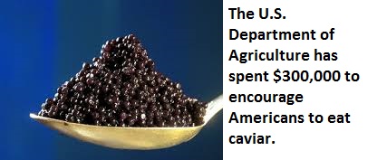 tjsb bank - The U.S. Department of Agriculture has spent $300,000 to encourage Americans to eat caviar.