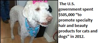 photo caption - The U.S. government spent $505,000 "to promote specialty hair and beauty products for cats and dogs" in 2012.