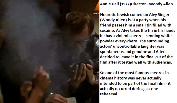 human - Annie Hall 1977Director Woody Allen Neurotic Jewish comedian Alvy Singer Woody Allen is at a party when his friend passes him a small tin filled with cocaine. As Alvy takes the tin in his hands he has a violent sneeze sending white powder everywhe