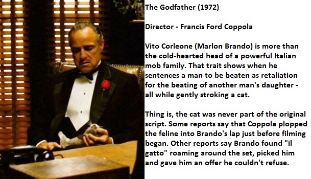 godfather seat - The Godfather 1972 Director Francis Ford Coppola . N Vito Corleone Marlon Brando is more than the coldhearted head of a powerful Italian mob family. That trait shows when he sentences a man to be beaten as retaliation for the beating of a