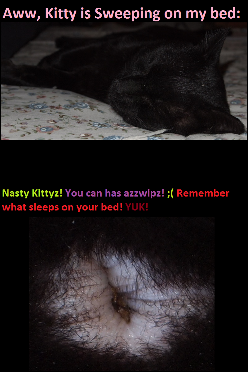 Take a good look at your fuzzy friend, you may be astonished to find out what your REALLY sleeping on!