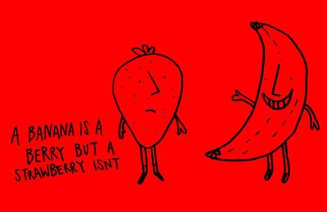 love - A Banana Is A A Berry But A Strawberry Isnt