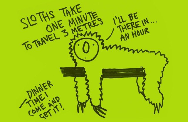 cartoon - M Sloths Take One Minute To Travel 3 Metres Til Be There In... An Hour Dunn Dinner Timet Come And Cet It