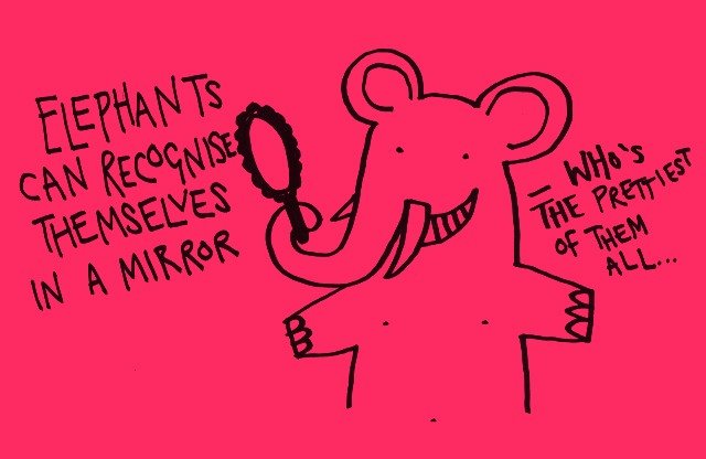 cartoon - Elephants Can Recognise Themselves In A Mirror Who's The Prettiest Of Them All..