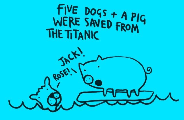 happiness - Five Dogs A Pig Were Saved From The Titanic Jack! Rose! Aaaa