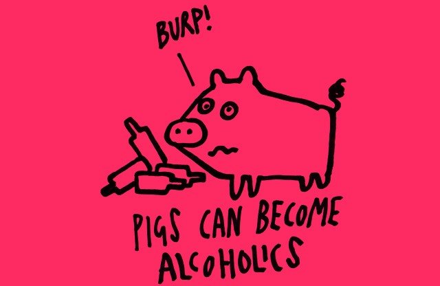 Fact - Burp! Pigs Can Become Alcoholics