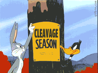 duck season wabbit season - 9 . gifbin.com Cleavage Season