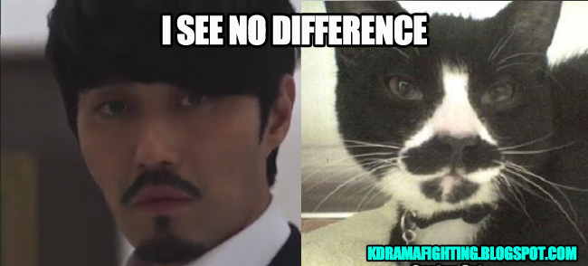 Mustache twins: Cha Seung Won and this cat
