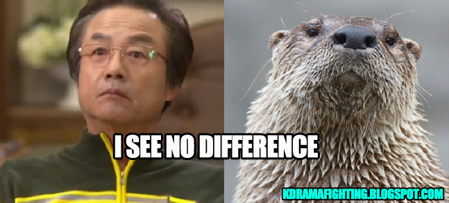 I feel extra judged by the double dose of Jung Dong Hwan and this otter.