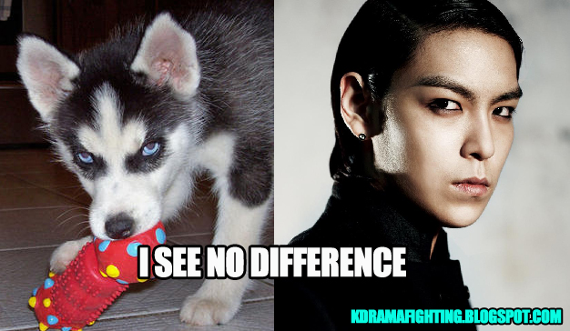 With both T.O.P. and the baby husky, I don't know if I should run away or say "Awww!"