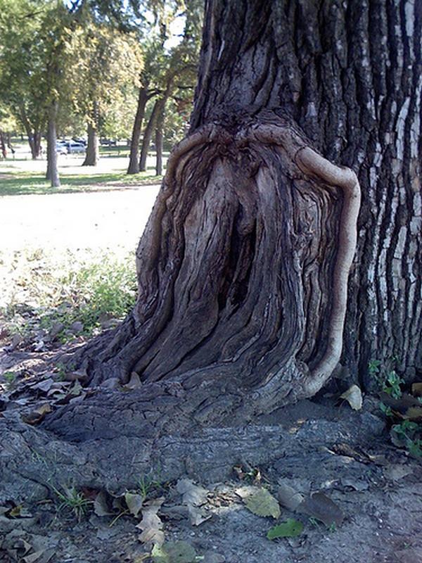 Nature Is Naughty