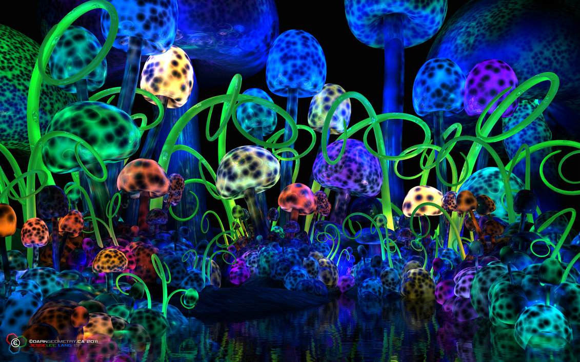 Magic Mushrooms!