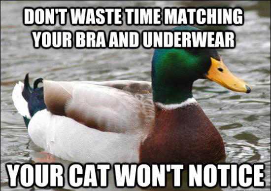 no one wants to see your fireworks meme - Dont Waste Time Matching Your Bra And Underwear Your Cat Won'T Notice