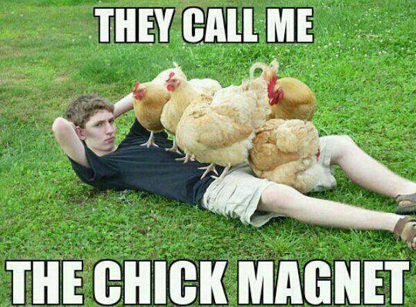 chick magnet meme - They Call Me The Chick Magnet