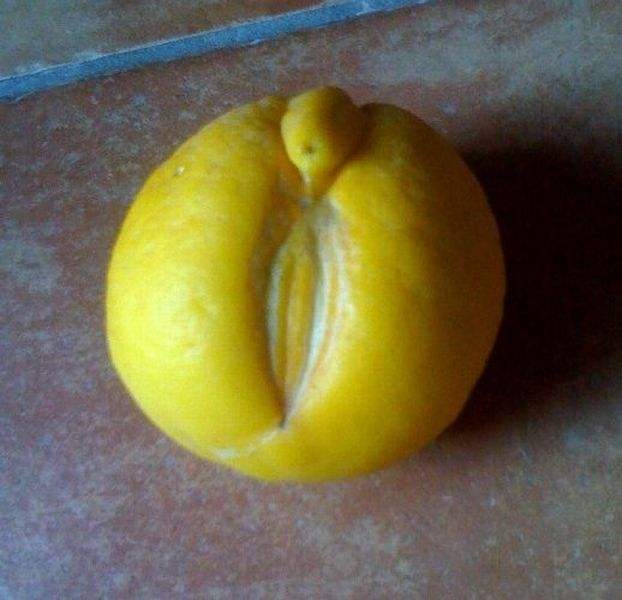 vagina lemon