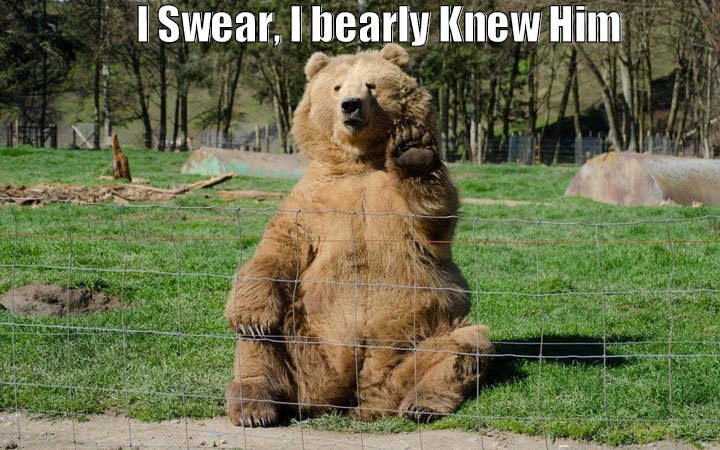 Bear Swear