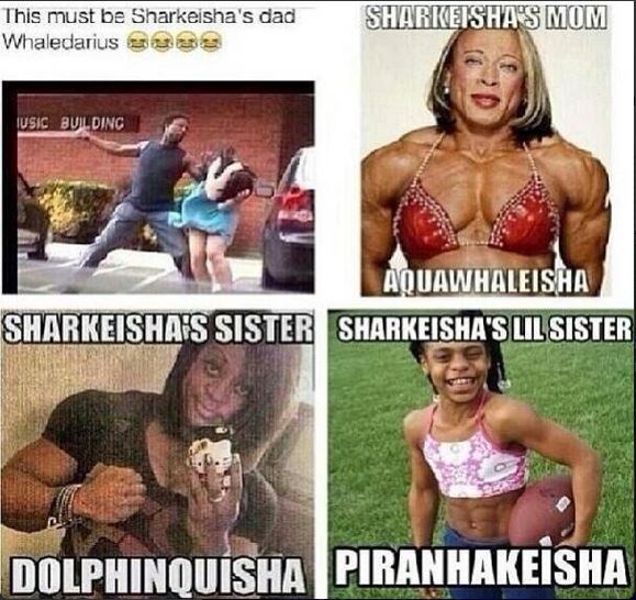 Posted on Sharkeisha's twitter page @LilButtSHAR