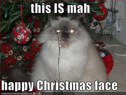 funny cat christmas memes - this Is mah happy Christmas face