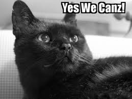 funny black cat - Yes We Canz!