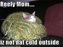 soviet russia cat meme - Reely Mom.... iz not dat cold outside