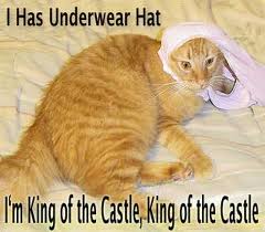 whiskers - 1 Has Underwear Hat I'm King of the Castle, King of the Castle