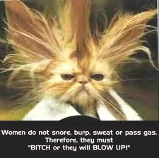 silly cat - Women do not snore, burp, sweat or pass gas. Therefore, they must "Bitch or they will Blow Upi"