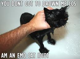 photo caption - You Dont Got To Drown Me Cos Am An Emo Cat Idiot