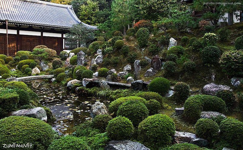 Top 30 Most Beautiful Photos of Japan