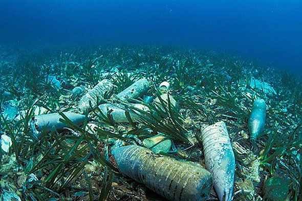 The oceans are full of garbage and chemical wastes