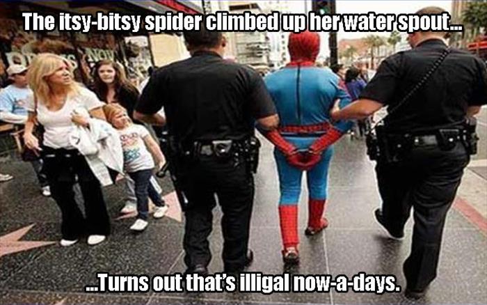 police arrest spiderman - The itsybitsy spider climbed up her waterspout_ Nov ...Turns out that's illigal nowadays.