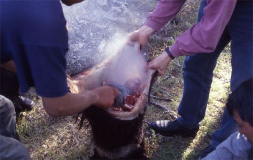 Mongolian boodog is a goat or a marmot from inside out. Thats right, the animal is cooked in its own skin.