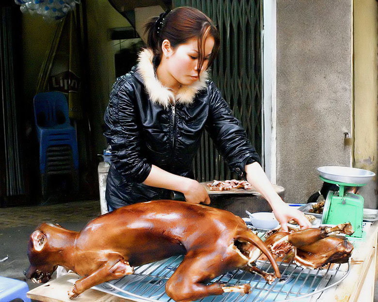 Dog meat