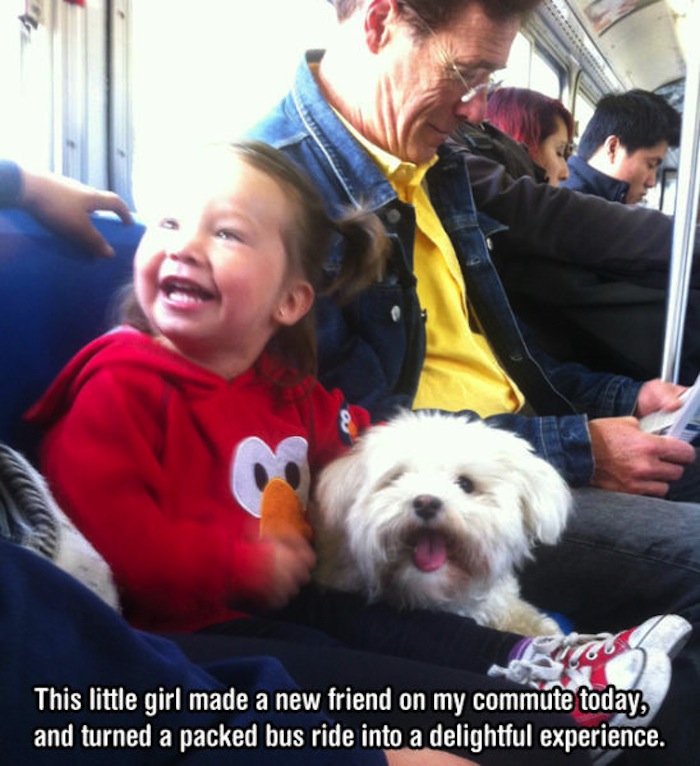Puppy - This little girl made a new friend on my commute today, and turned a packed bus ride into a delightful experience.