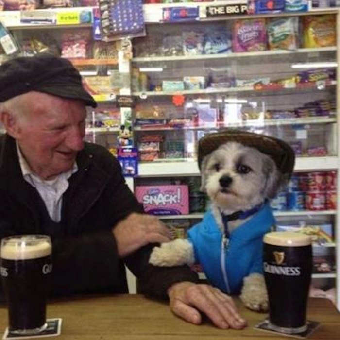 irish dogs meme - S. The Big Pl Linness