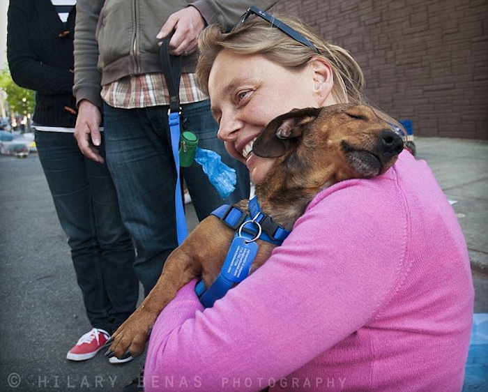 dachshund hugging - Hiularyenas Photography