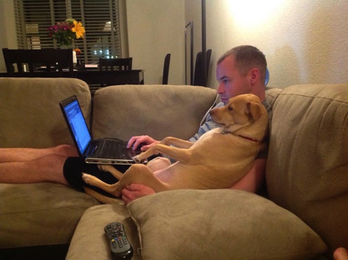 29 Reasons We Love Our Dogs