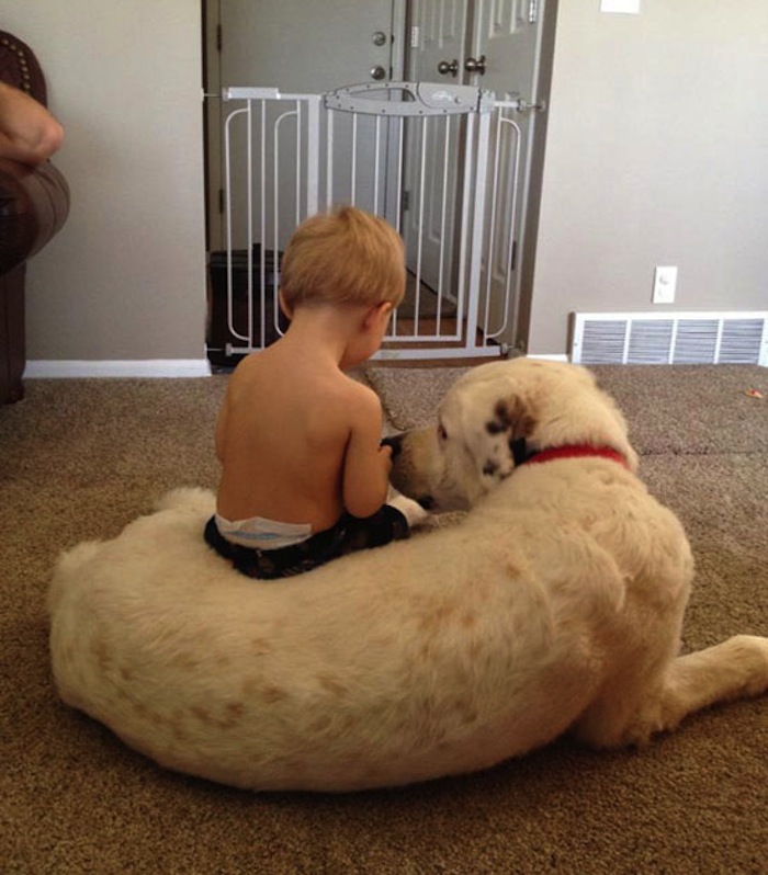 29 Reasons We Love Our Dogs
