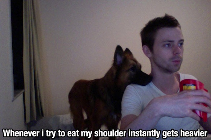 funny dog owners - Whenever i try to eat my shoulder instantly gets heavier